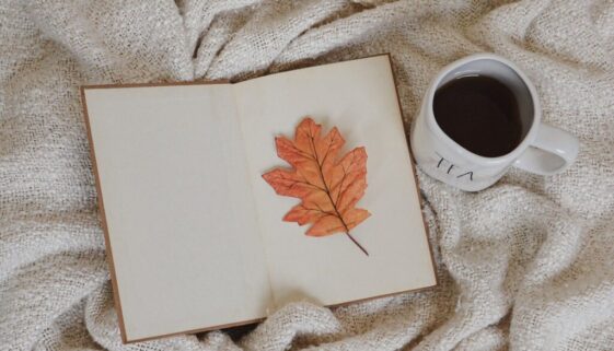 book leaf tea autumn fall nature 8295812